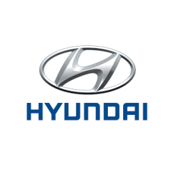 Hyundai (1)